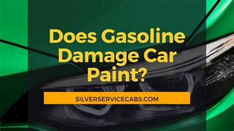 Does Gas Ruin Car Paint? And Why Do Birds Suddenly Appear Every Time You Wash Your Car?