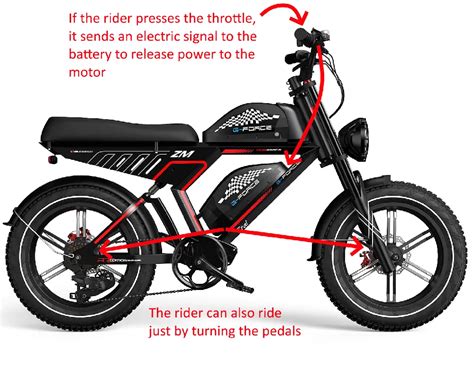 How Does an Electric Bike Work: And Why Do They Sometimes Feel Like They Have a Mind of Their Own?