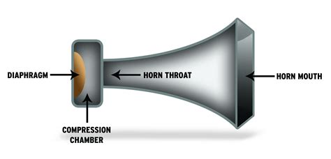 How Loud is a Car Horn: And Why Do Birds Still Sing Over It?