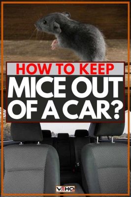 How to Keep Mice Out of My Car: And Why They Might Be Drawn to Your Playlist