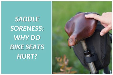 Why Does My Bike Seat Hurt: Exploring the Mysteries of Comfort and Discomfort